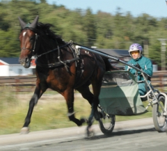 Valet De Chambre 170828-1